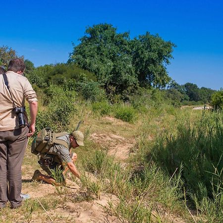 Inyati Game Lodge Metsi Zewnętrze zdjęcie