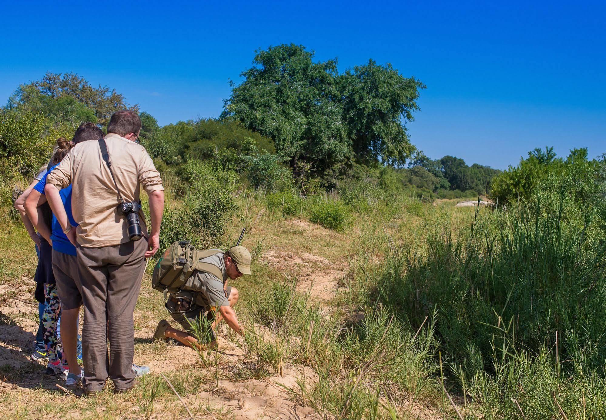 Inyati Game Lodge Metsi Zewnętrze zdjęcie