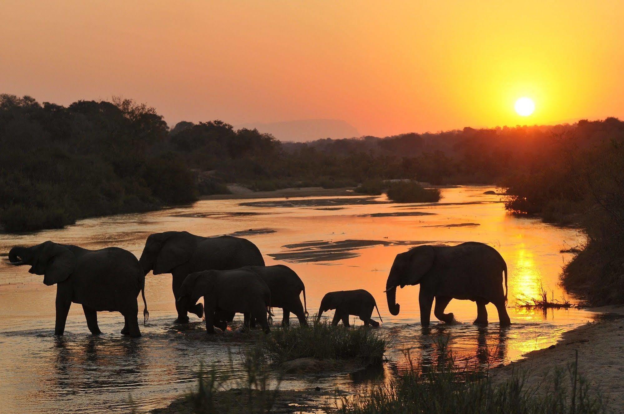 Inyati Game Lodge Metsi Zewnętrze zdjęcie
